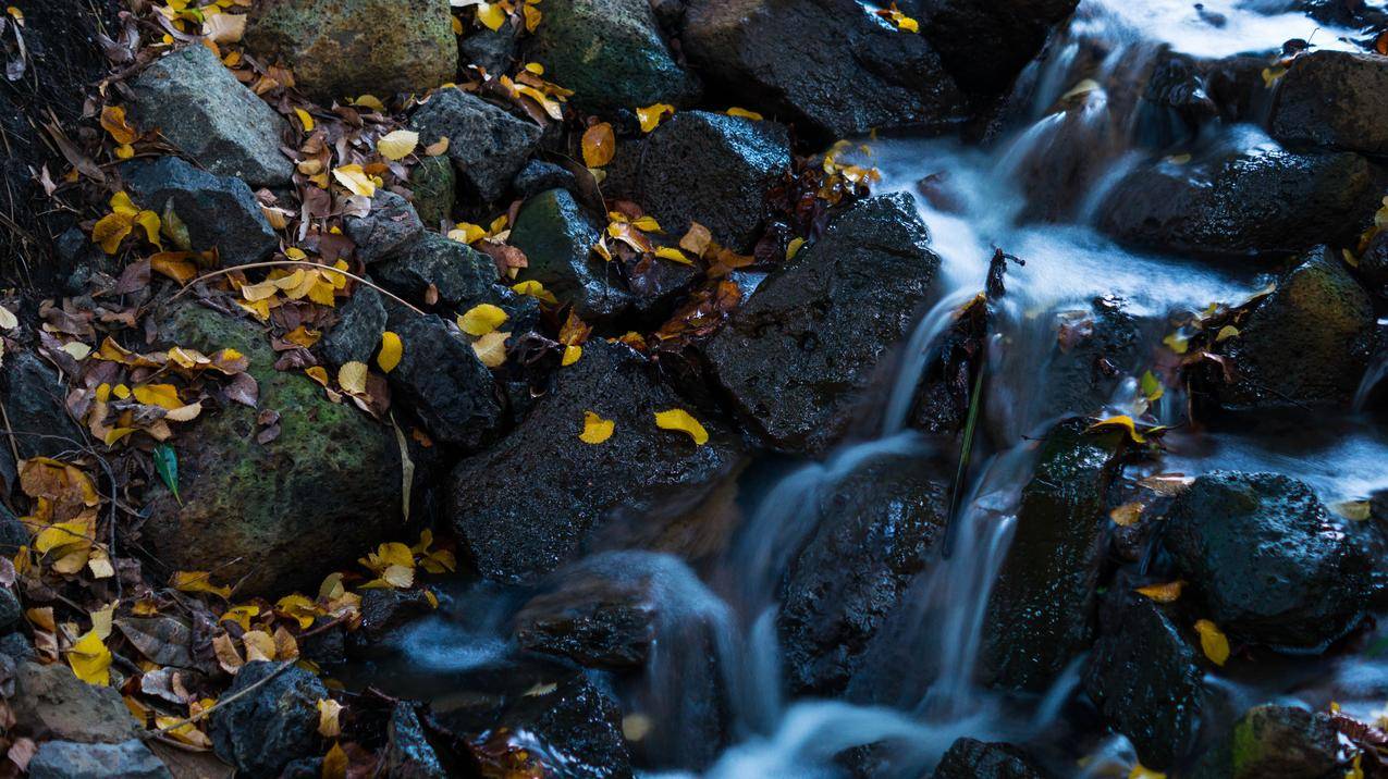 瀑布,叶子,自然,天然水,溪流,4K风景壁纸