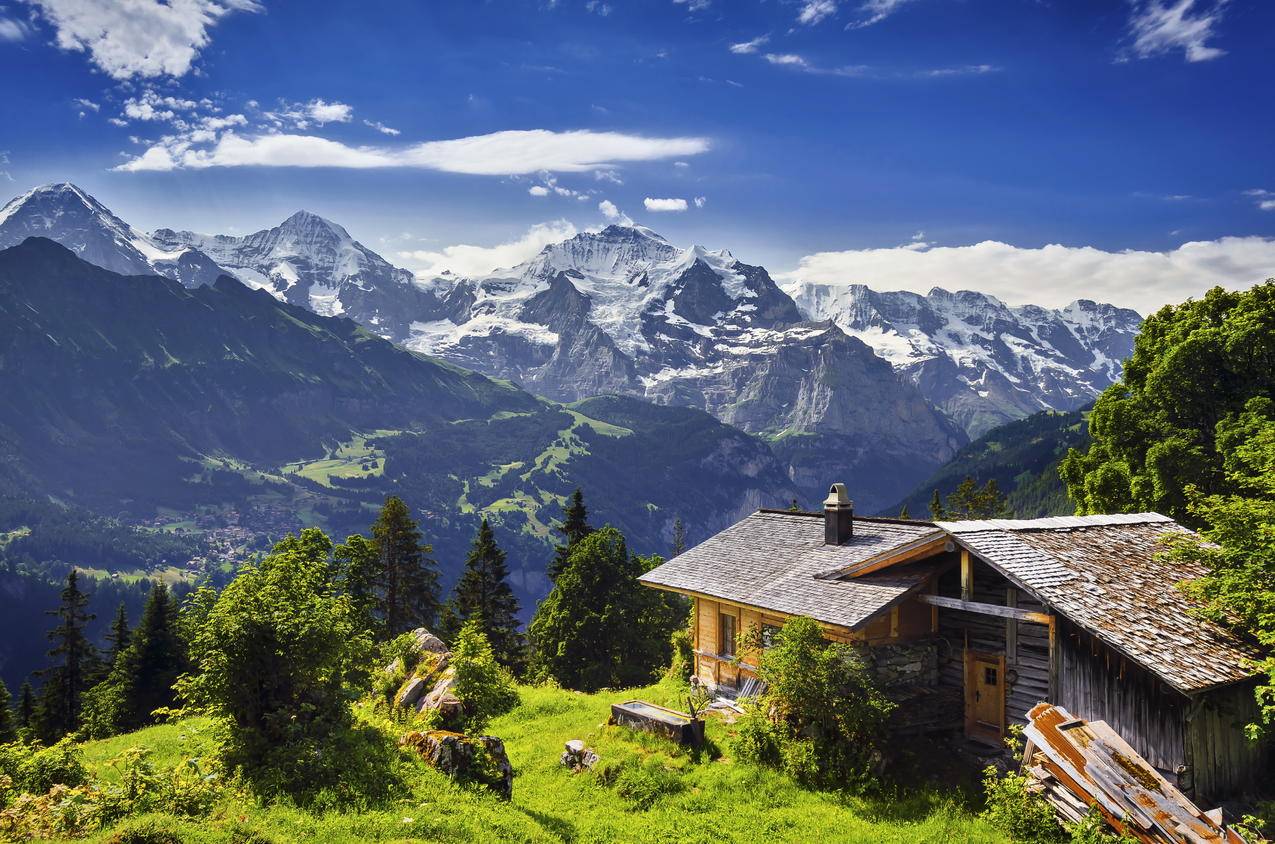 草,树,岩石,冰川,小屋,瑞士格林德瓦,4K风景壁纸
