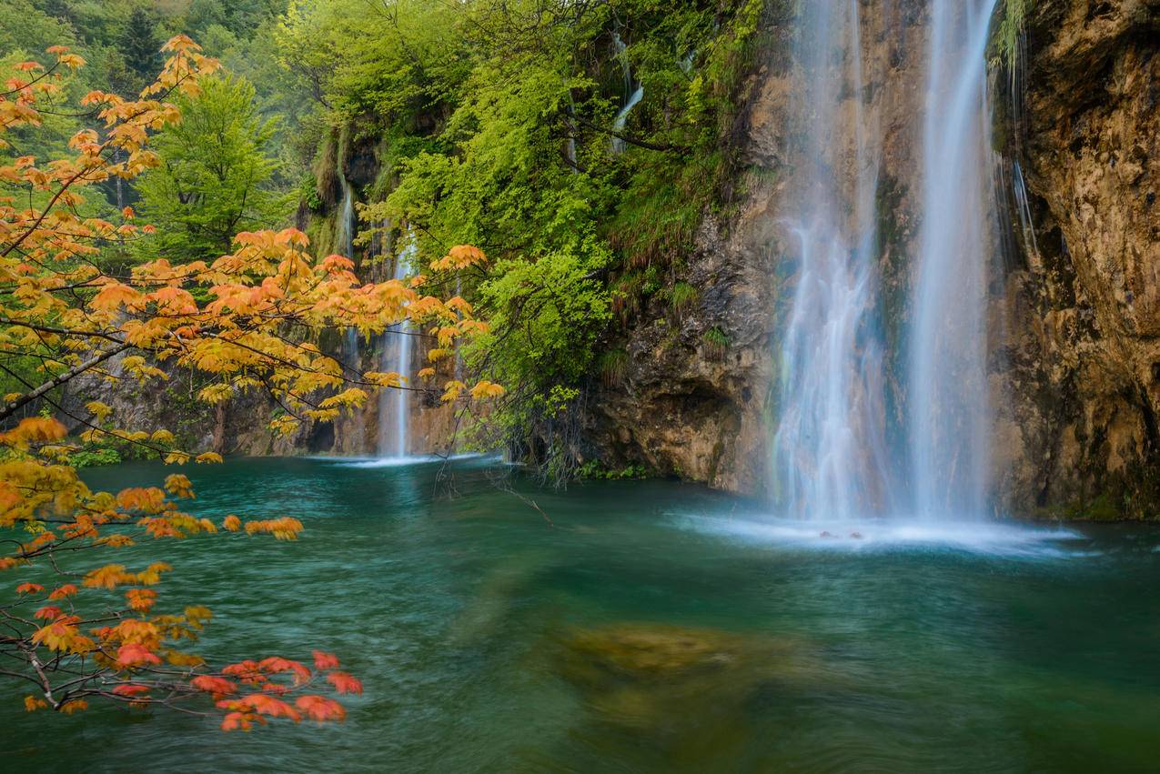 美丽的自然树林瀑布景色4K壁纸