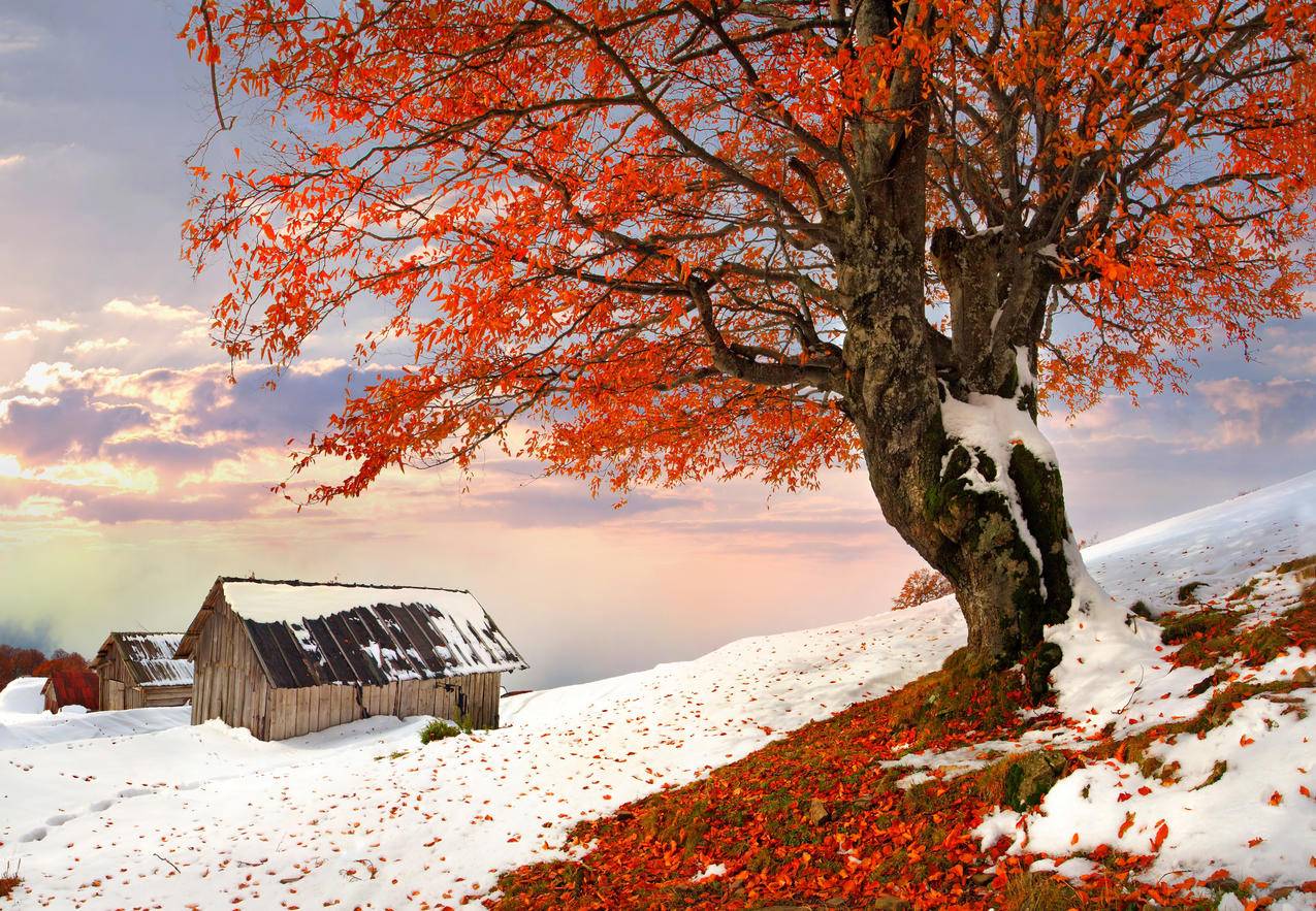 自然别墅,冬季,天空,4K风景图片