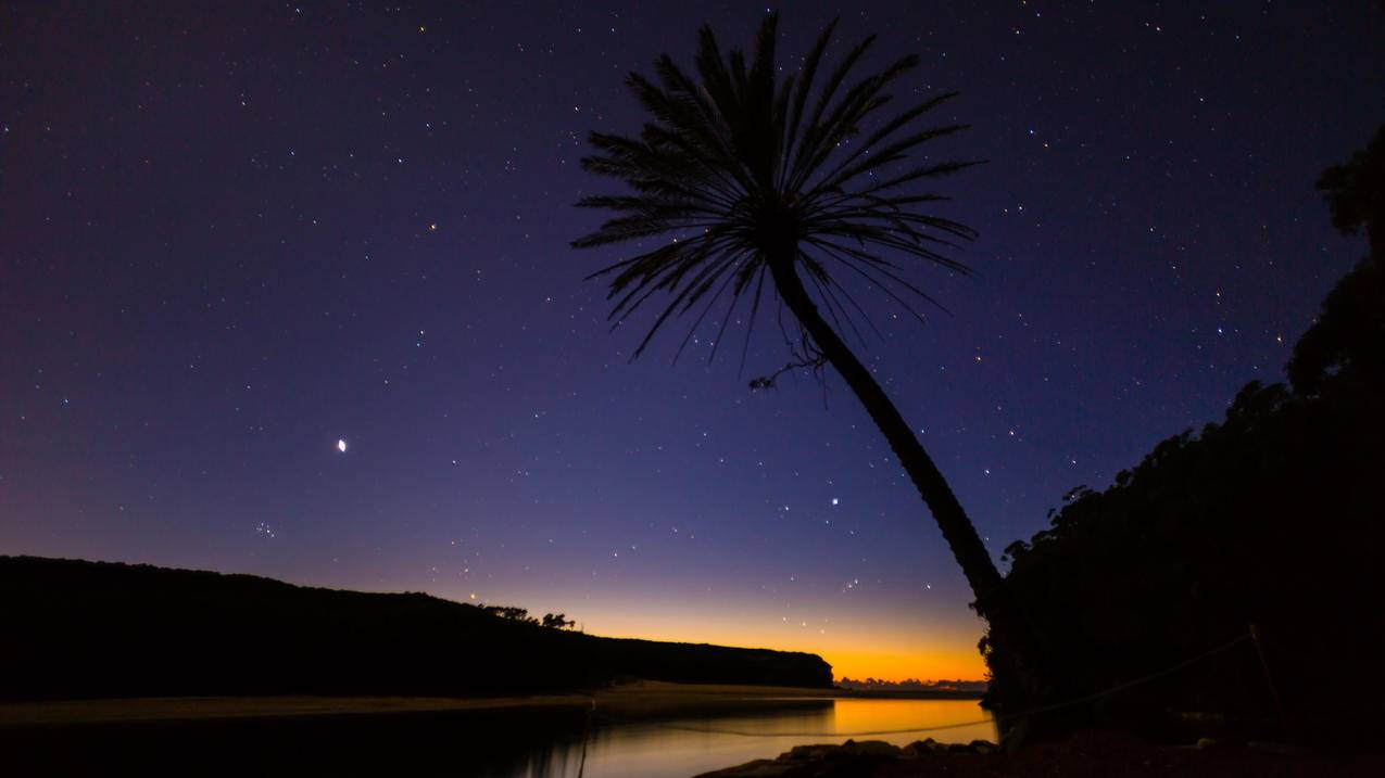 澳大利亚皇家国家公园,海滩,树和星星,4K风景壁纸