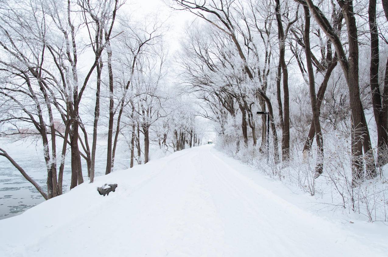 雪地,大雪皑皑,道路,4k壁纸