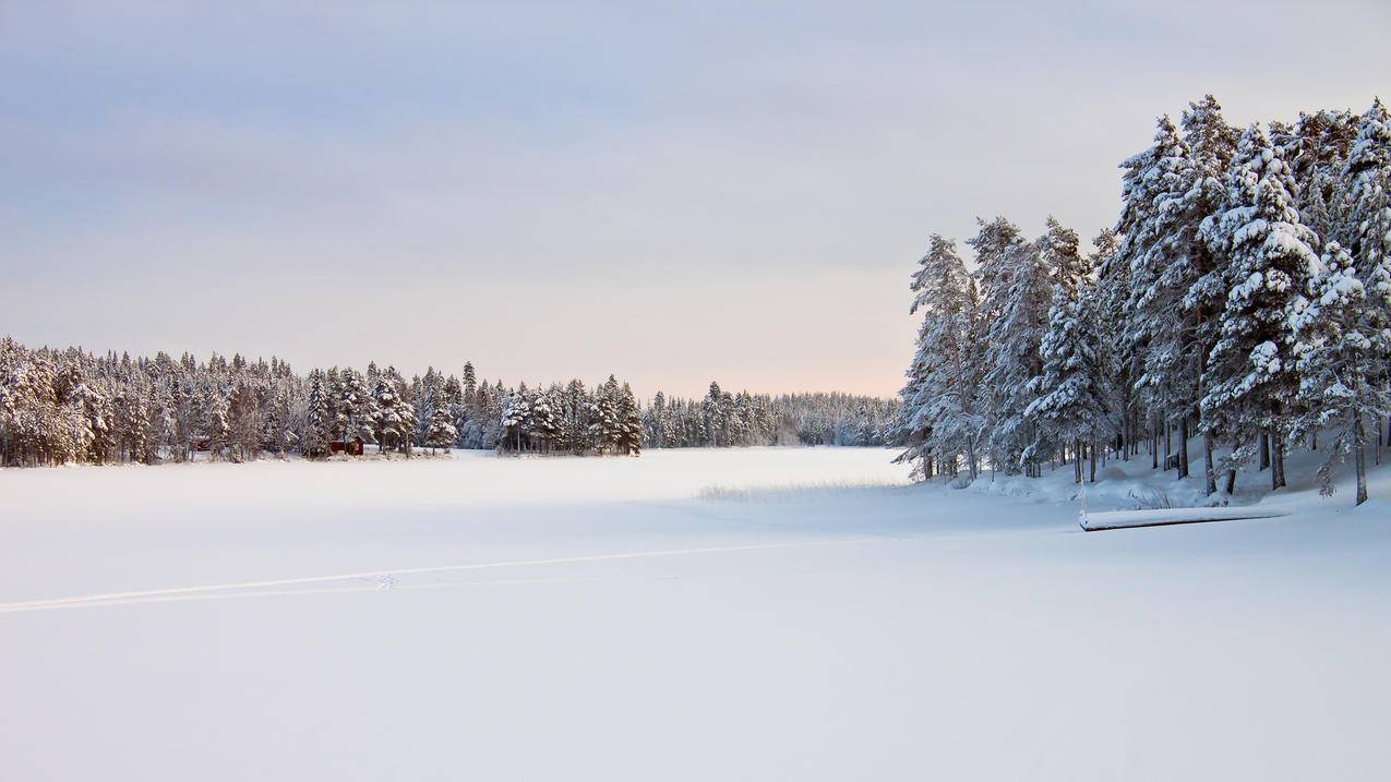 瑞典,雪景,4K风景壁纸