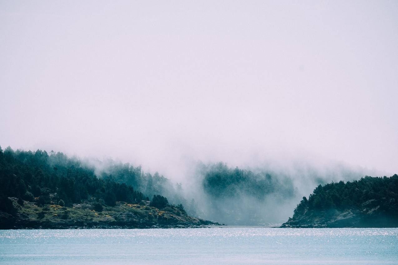 湖边,森林,雾,5k壁纸