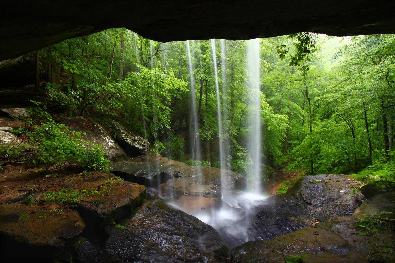 瀑布,洞穴,树林,自然风景4K壁纸