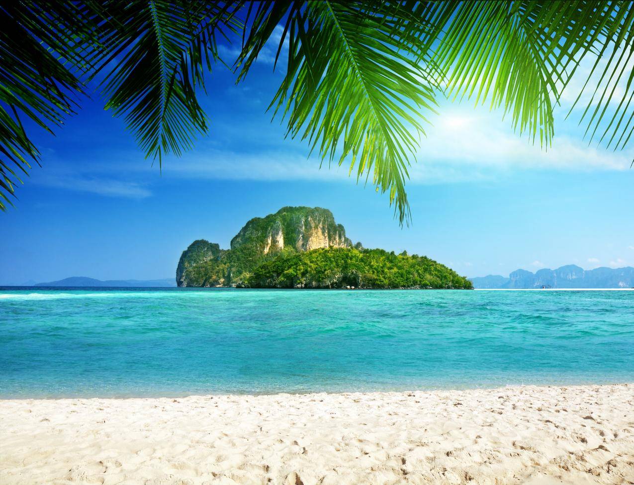 岛屿,棕榈树,热带,海洋,海岸,5K风景壁纸