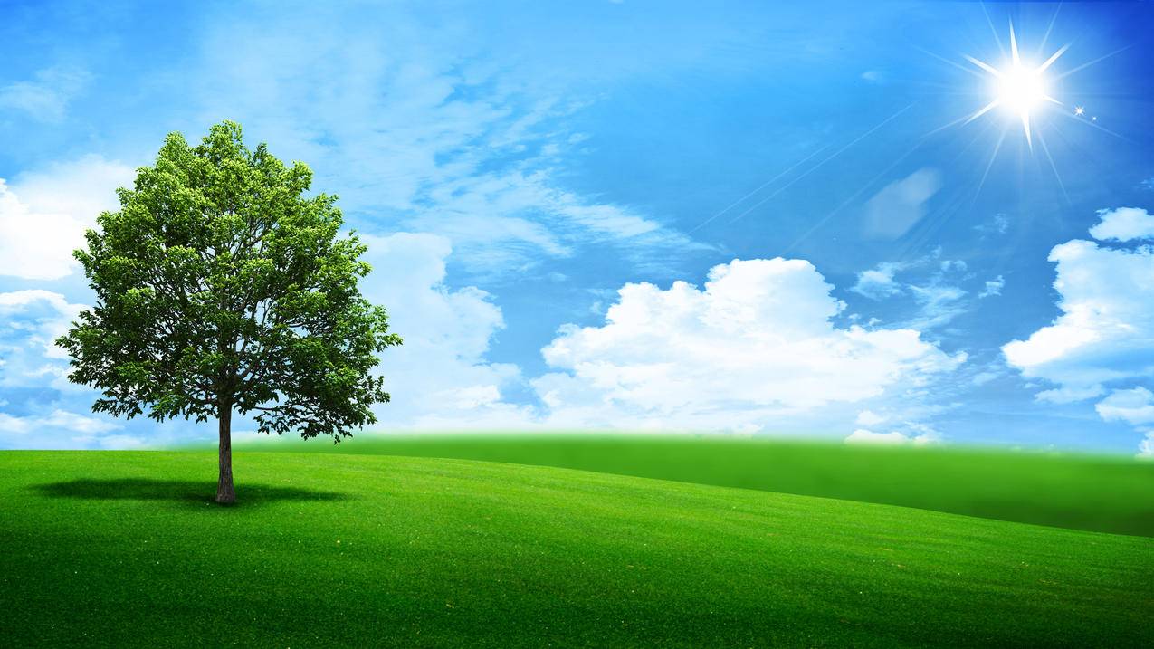 风景与绿色的树4K壁纸3840x2160