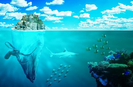 深海鱼广告壁纸 深海鱼广告图片 千叶网搜索