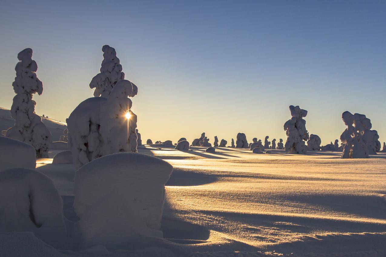 拉普兰,冬天,雪,芬兰,雪景,树木,太阳,4k风景壁纸