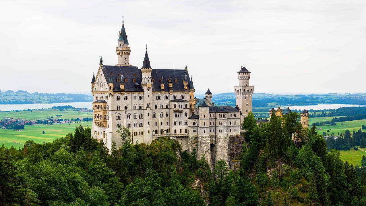 德国,新天鹅堡城堡,建筑,景观,树,4K风景壁纸