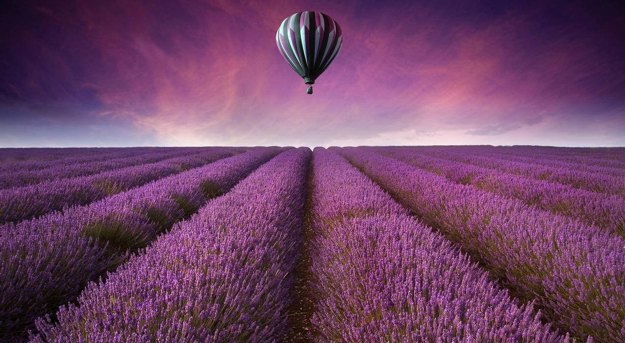 紫色花海,热气球,薰衣草庄园,4K风景壁纸