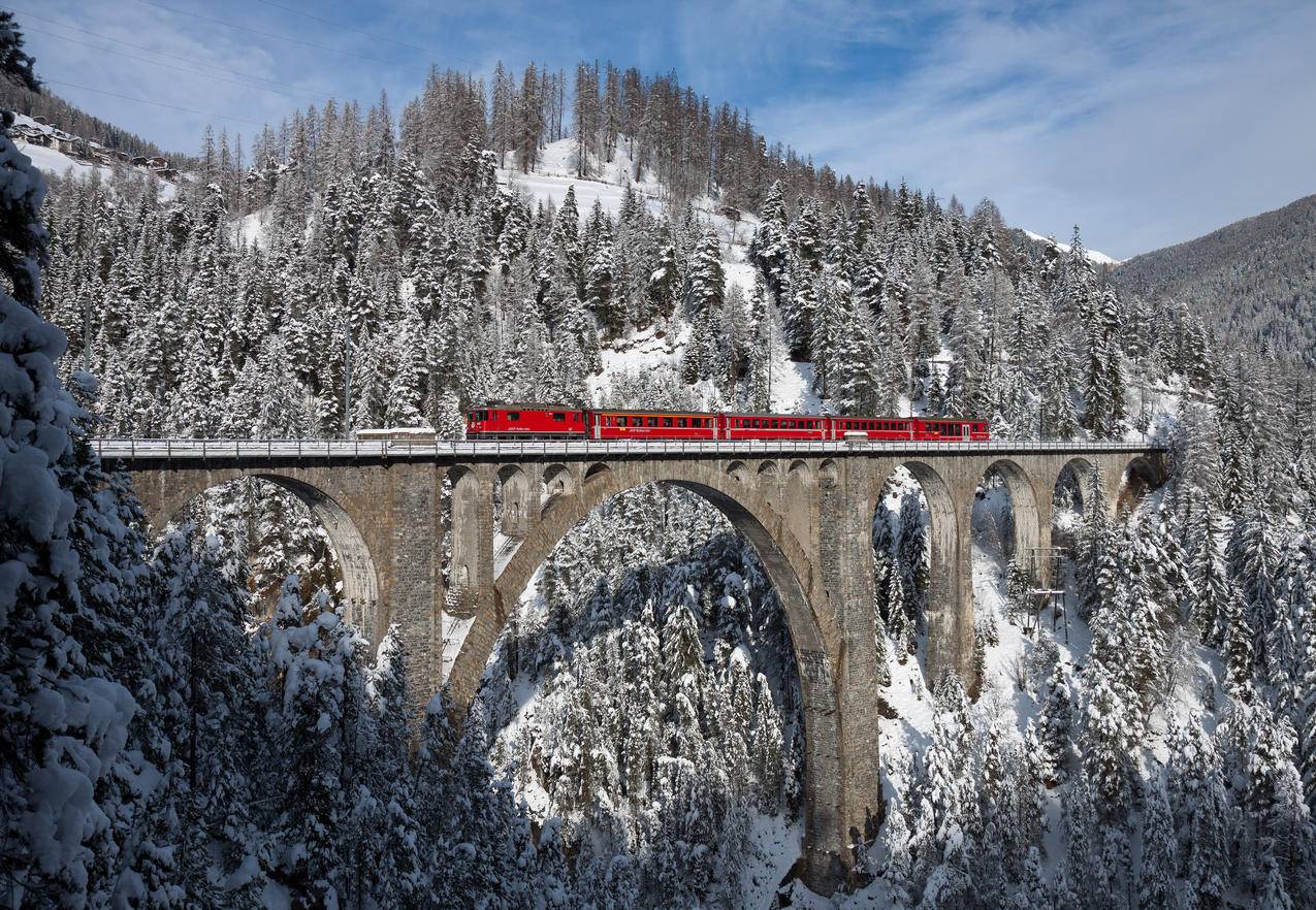树林,高架桥,火车,4K风景壁纸