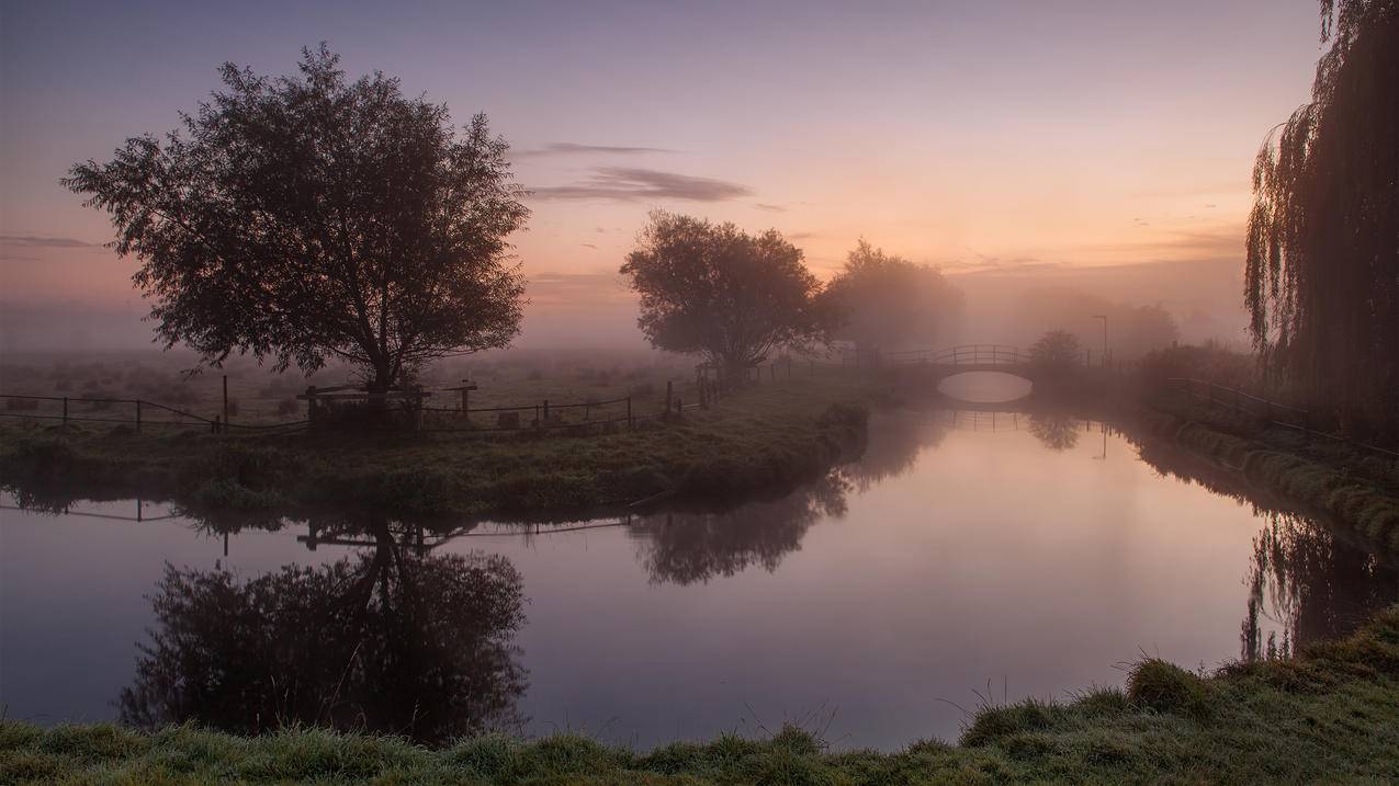 英国赫特福德沼泽地的薄雾早晨4K风景壁纸