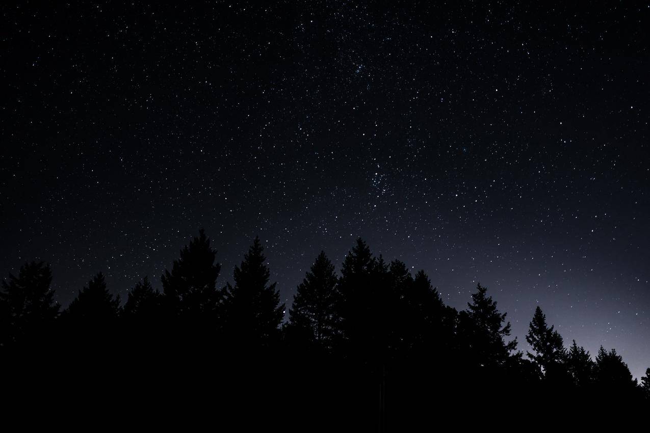 星空,树木,晚上风景8k壁纸