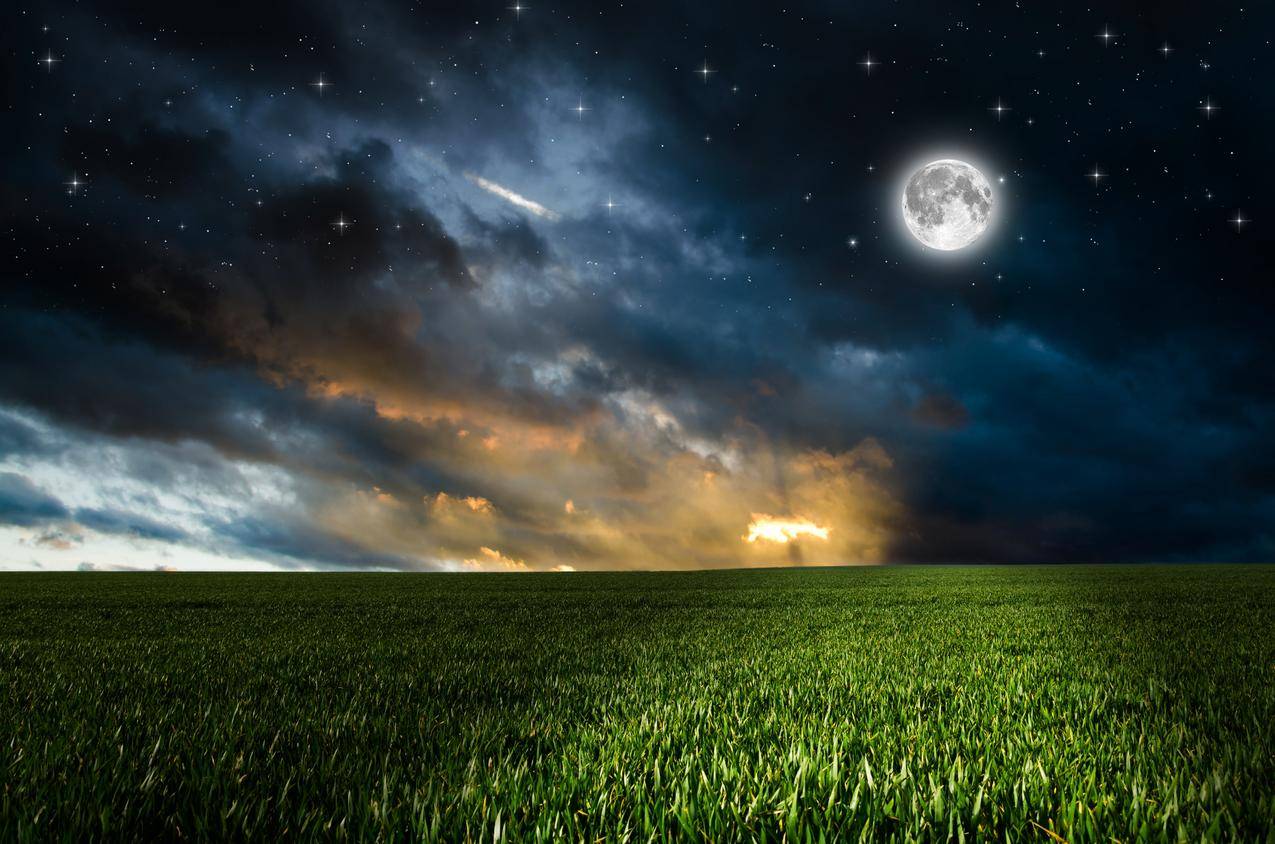 云,草地,天空,晚上,田地,绿色,月亮,星星,4K风景壁纸