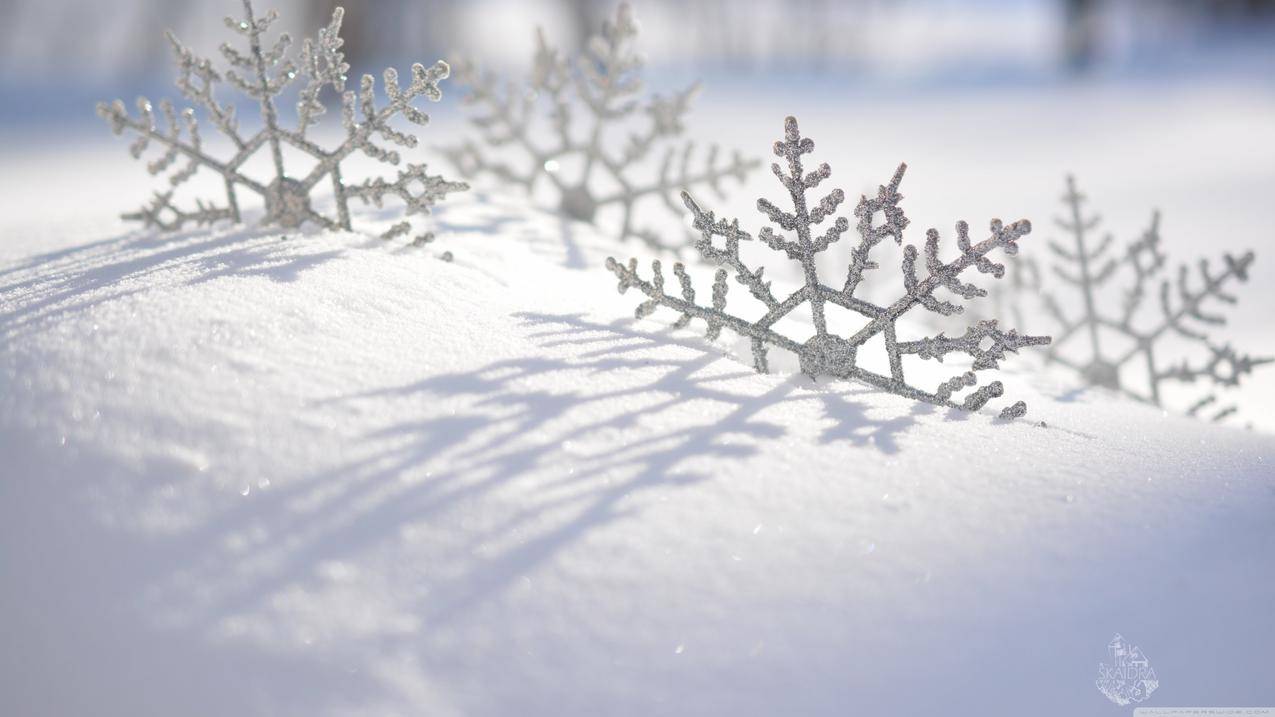 雪花,冬天,4k风景壁纸