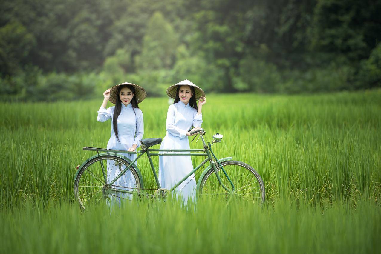 自行车,女人,绿色种植园,帽子,斗笠,农村,文化,8K美女壁纸