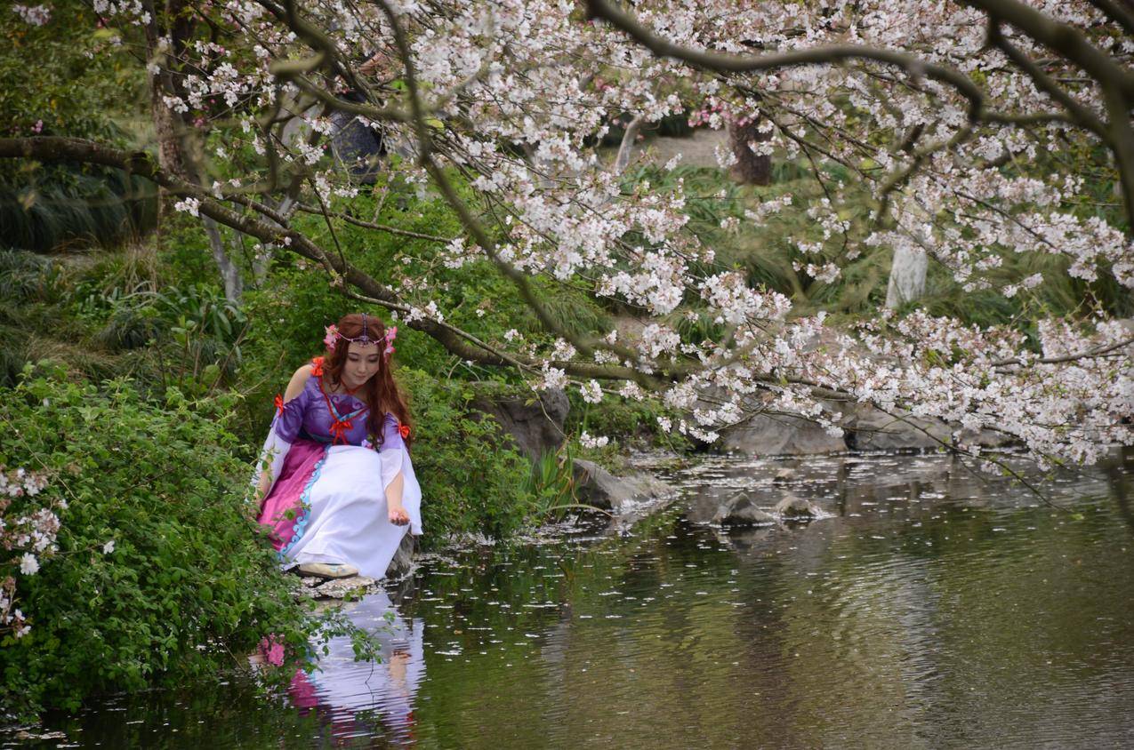 樱花盛开,池塘,年轻女子,4k美女图片