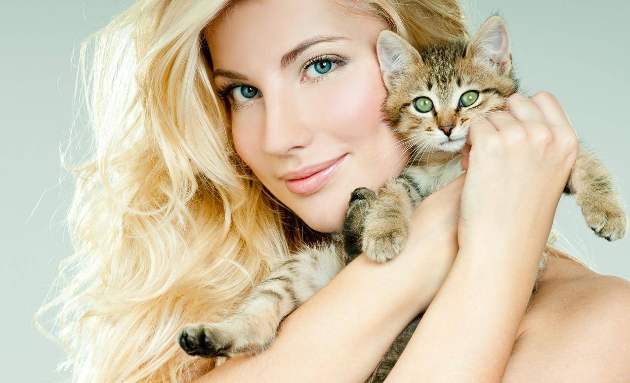 女孩美丽的金发,眼睛微笑,抱着小猫,4K壁纸图片