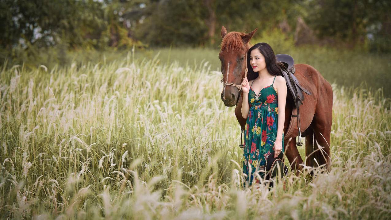 女孩散步,马,自然,美女人物风景5K图片