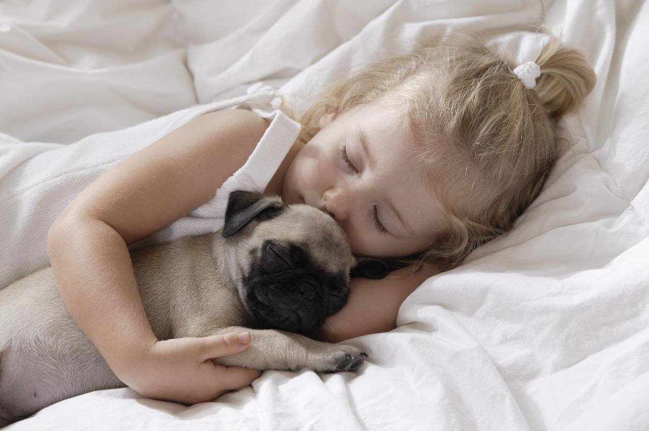 一位美丽女士躺在床上抱着可爱的宠物狗
