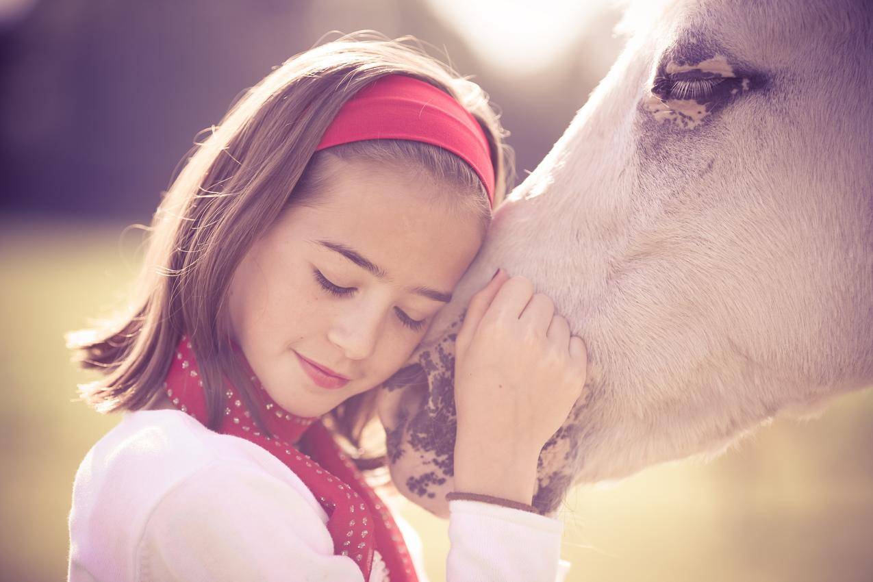 可爱小女孩,爱体贴,温柔,美丽的白色马,4K壁纸图片