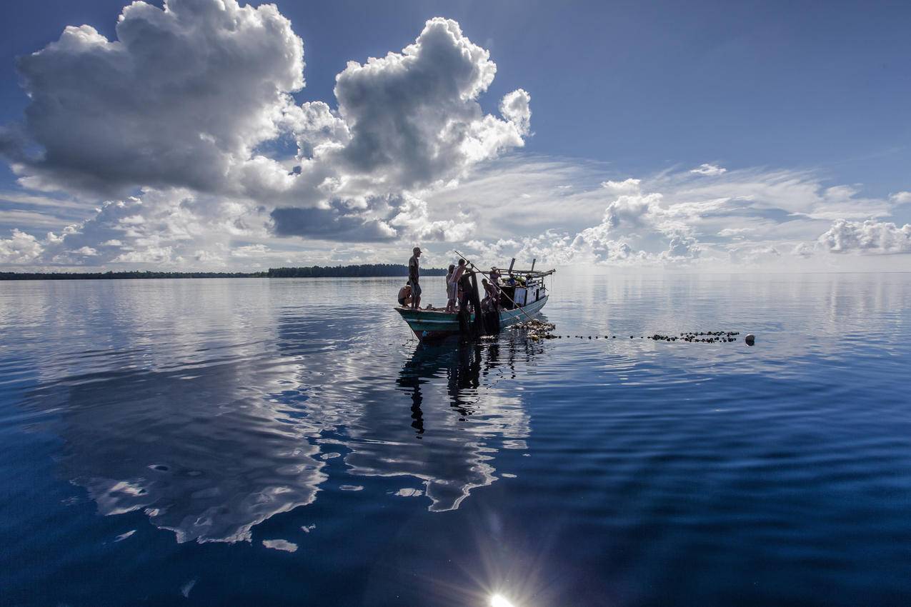 渔船,捕鱼,印尼,哈马黑拉岛,4K图片