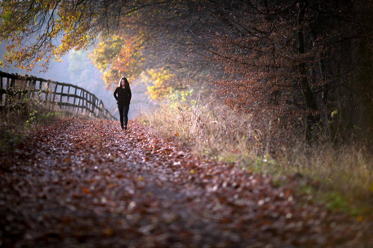 秋天树林栅栏女孩散步唯美风景图片