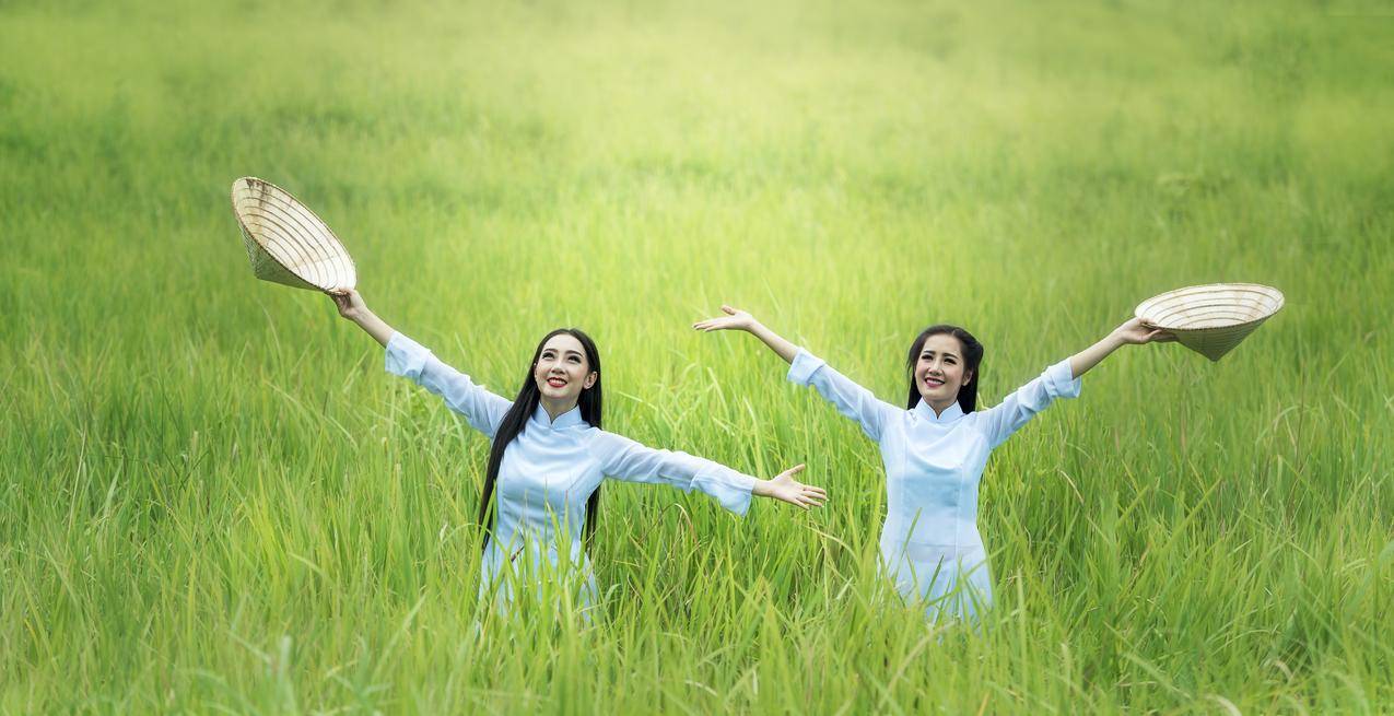 女人,大米,稻田,绿,农村,自由,欢乐,7K图片