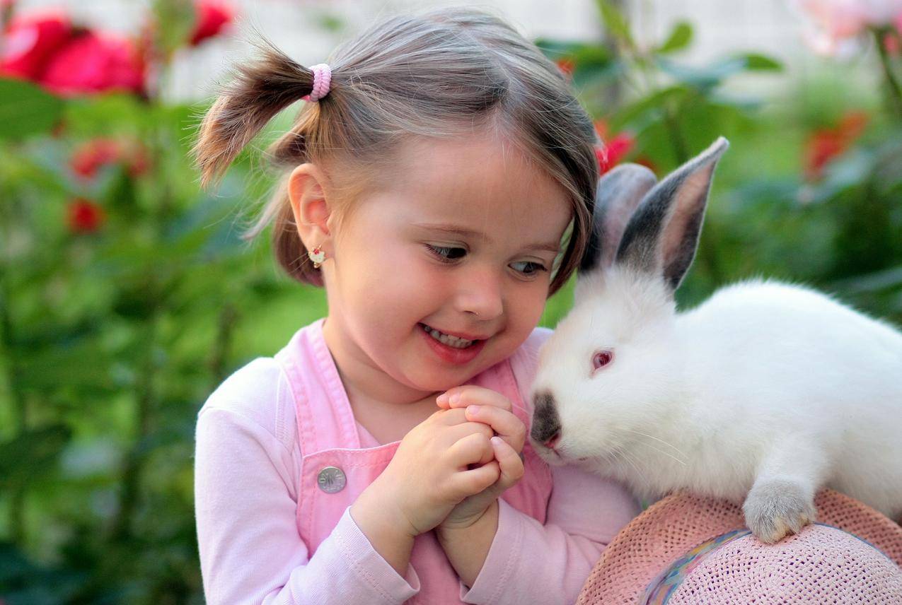 女孩,兔子,友谊,可爱图片