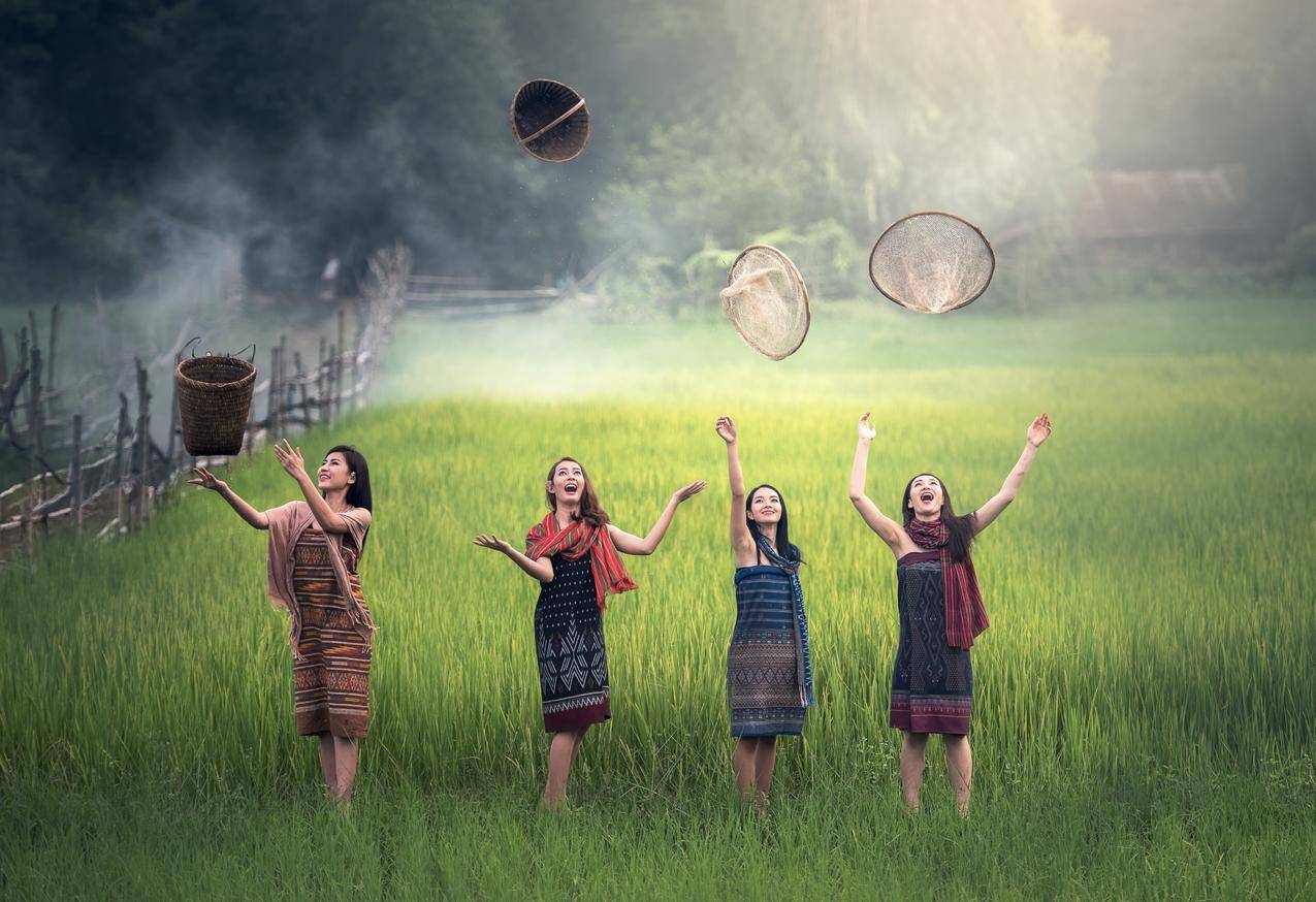 大米,稻田,绿色农村,女人们,自由,欢乐,手臂,明亮,畅快,庆祝,5K图片