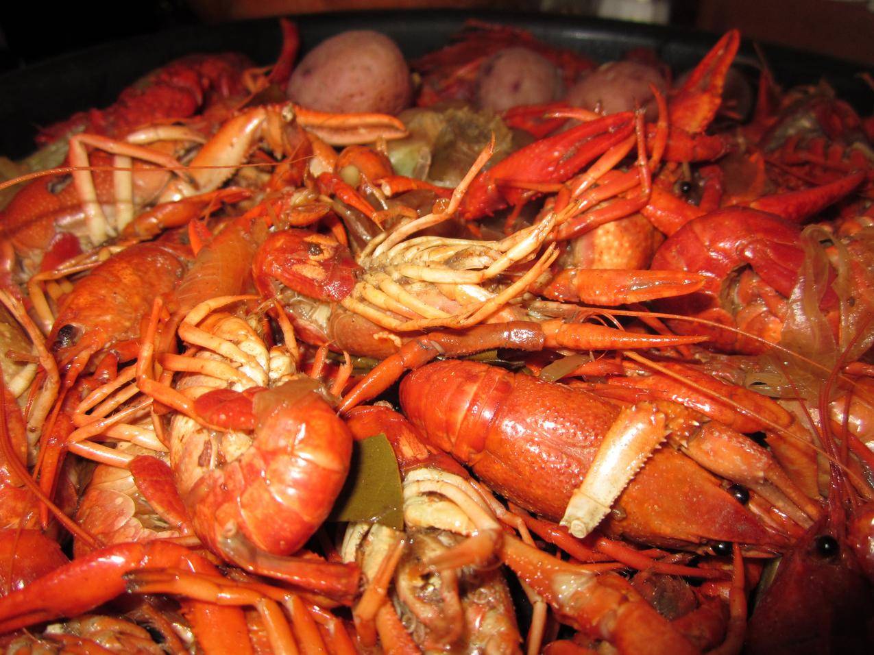 小龙虾,水煮,新奥尔良,海鲜,小龙虾4K美食图片