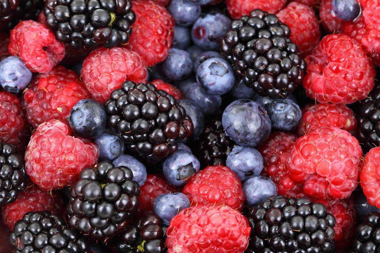 黑莓,蓝莓,森林,新鲜,水果,4K图片