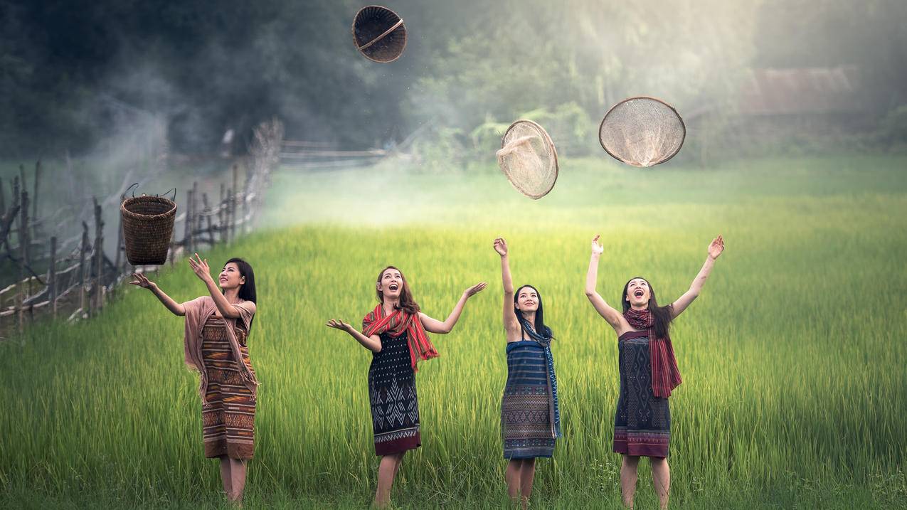 大米,稻田,绿色农村,女人们,自由,欢乐,光,雾,明亮,畅快,庆祝,4K高清风景壁纸