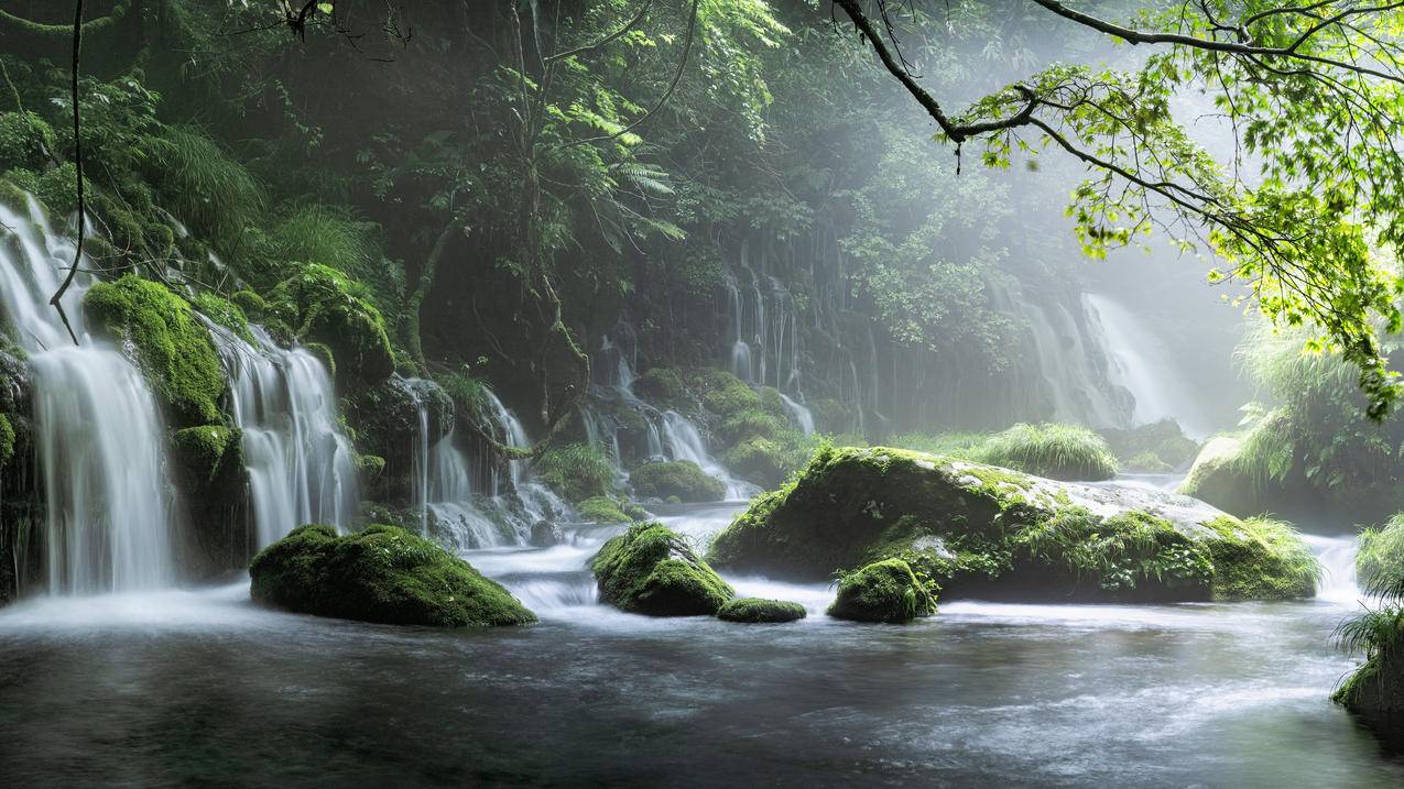 自然风景森林,瀑布,树林,4k高清风景壁纸