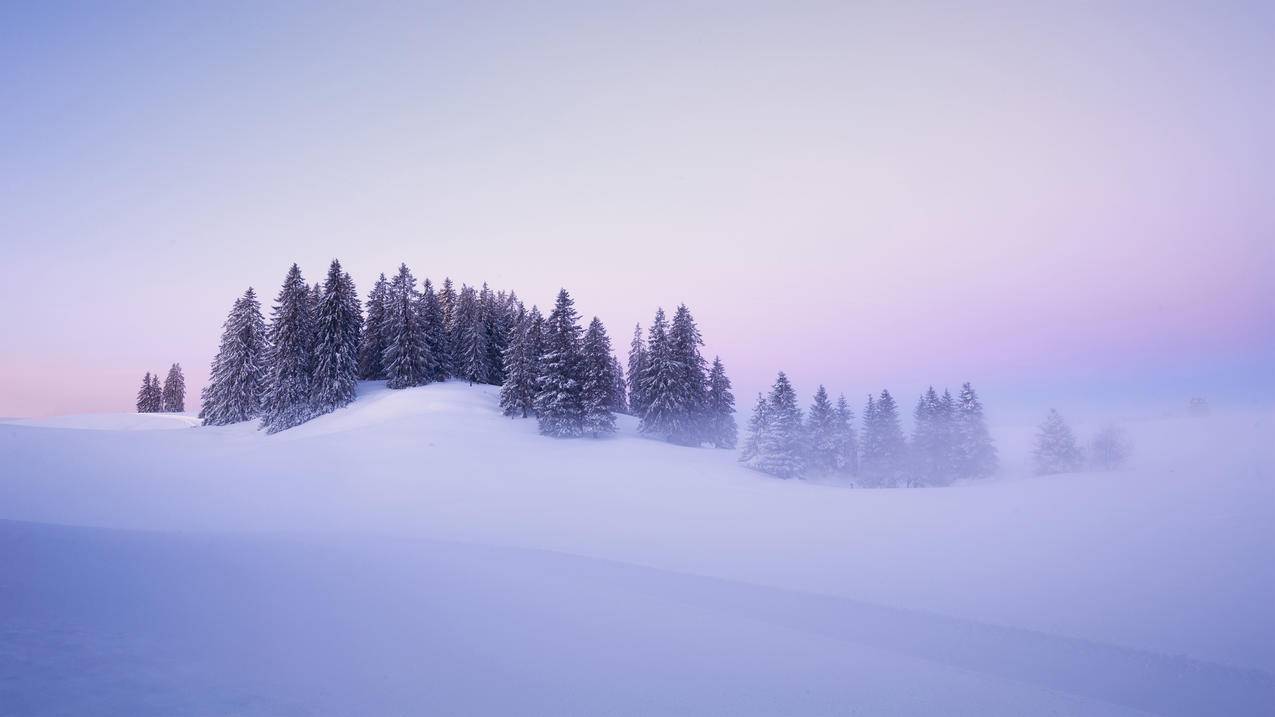 瑞士,冬季,树,美丽,冬天,风景,4k高清壁纸