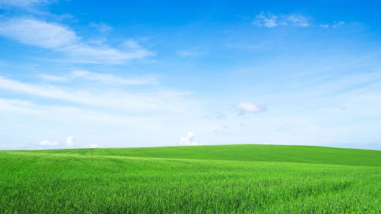 清新,蓝天,白云,绿草地,4k风景高清壁纸