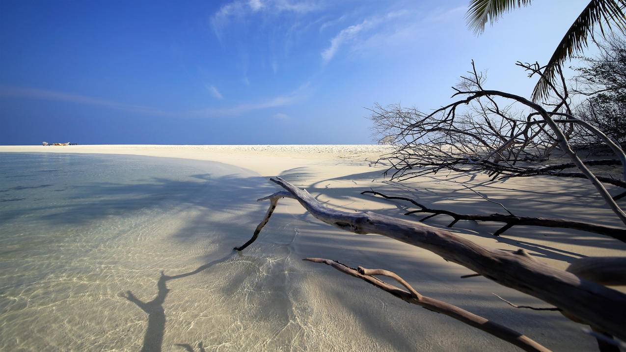 艾布度岛沙滩,4k风景高清壁纸