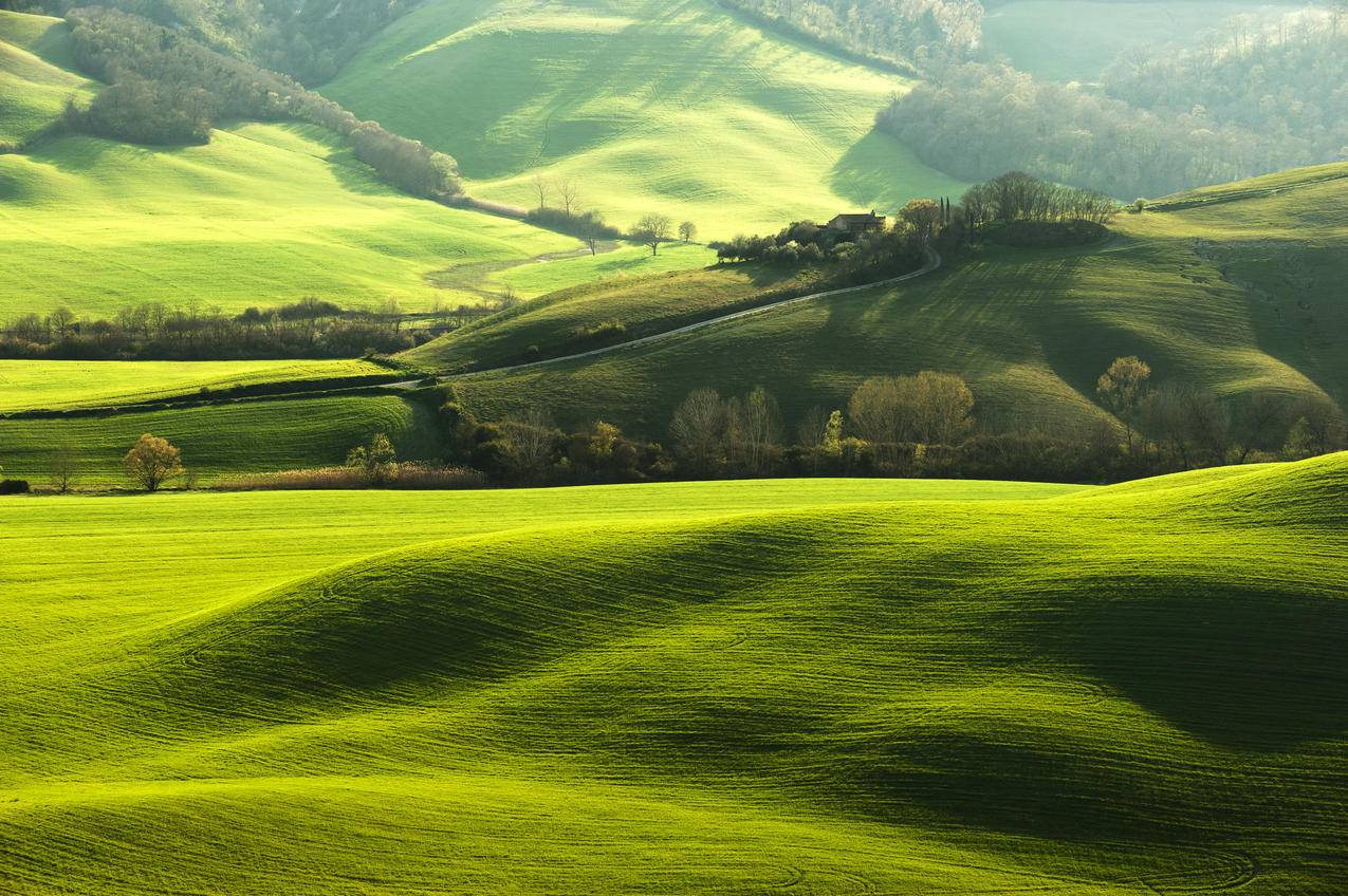 农场,意大利,托斯卡纳区,绿色领域,草地,爬坡道,田园,树,风景,4k高清壁纸