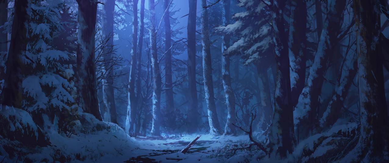 森林 夜晚 冬天 雪 树木 月光 3440x1440带鱼屏风景壁纸