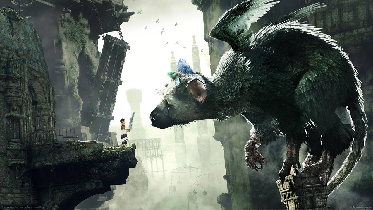 《最后的守护者(The Last Guardian)》,4K游戏高清壁纸