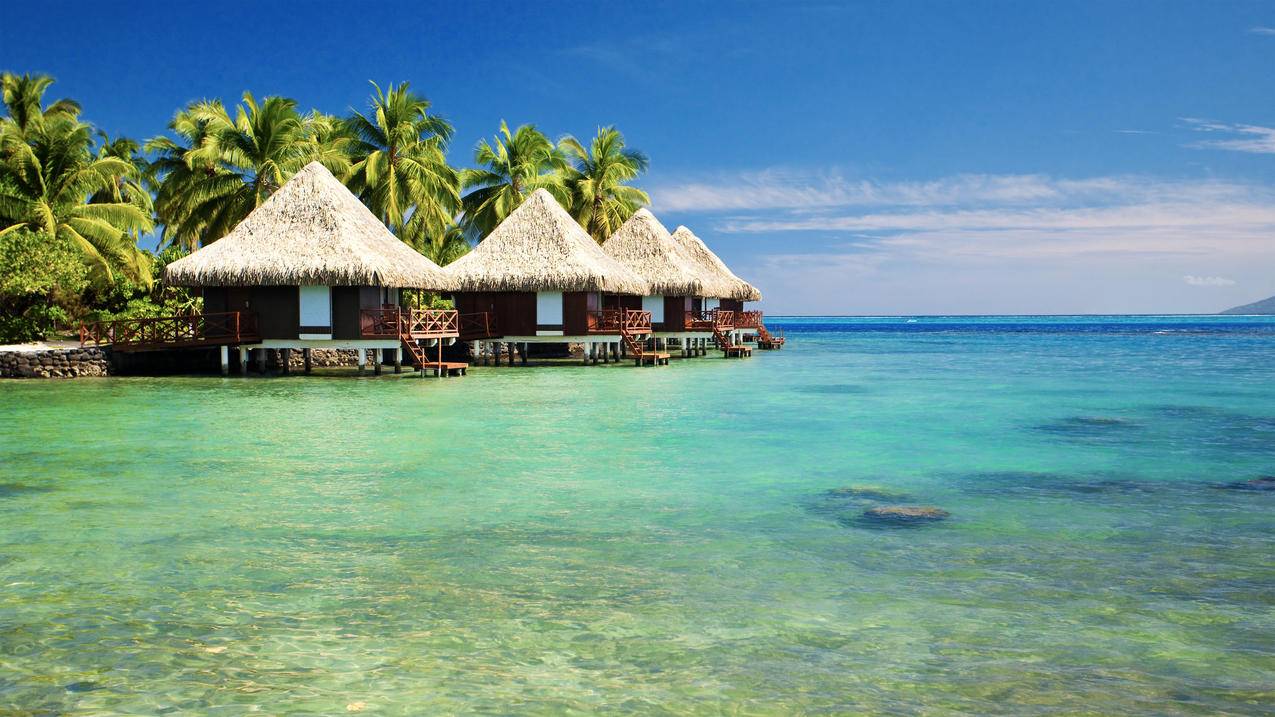 马尔代夫,碧海蓝天,茅草屋,海边风景,4k高清壁纸