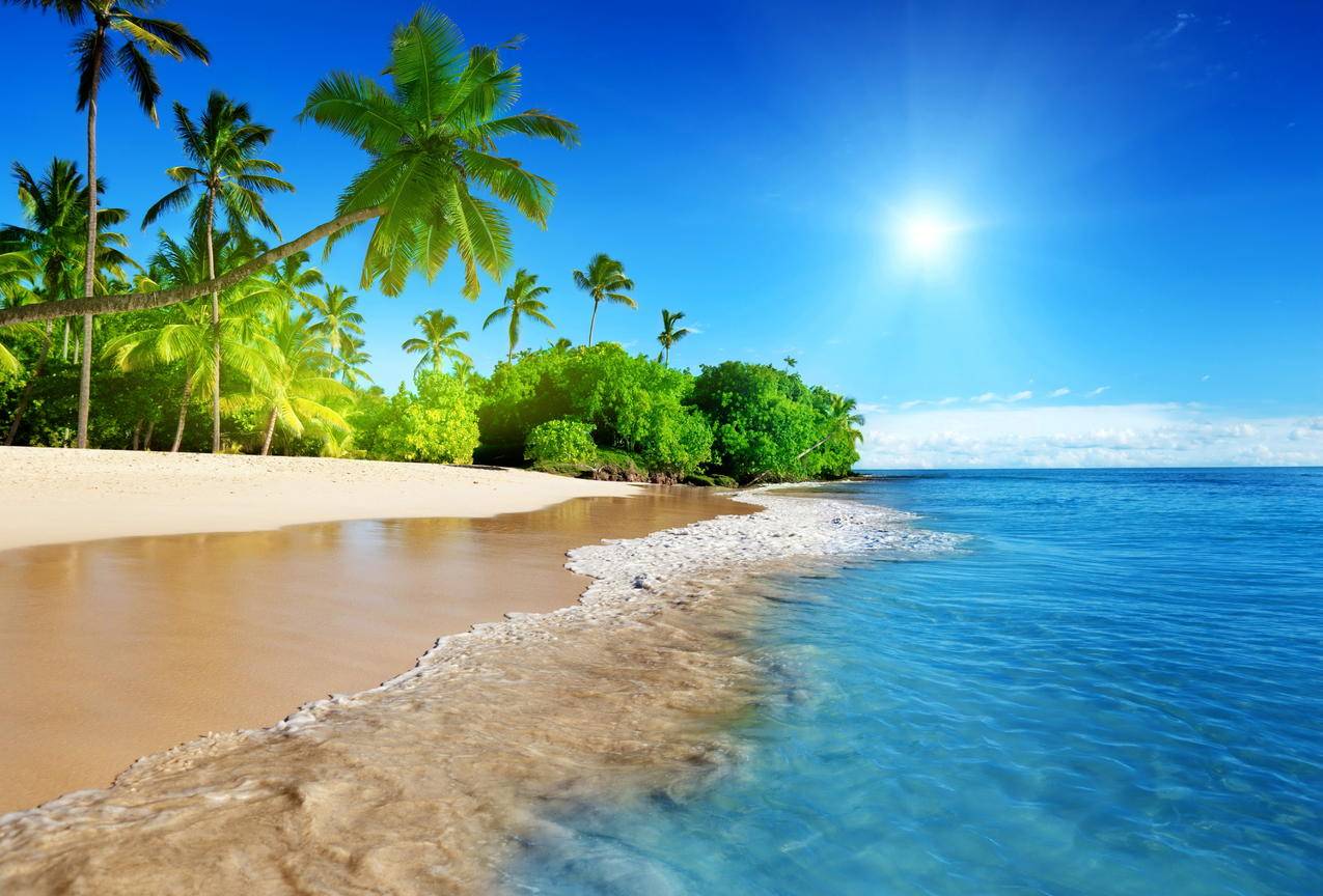 蔚蓝的大海,阳光,棕榈树,沙滩海岸,海洋天空,5K风景高清壁纸