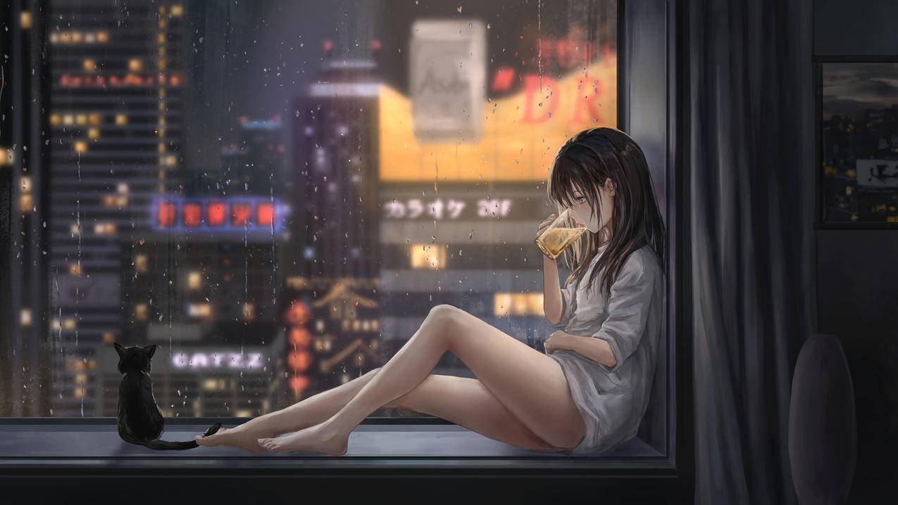 女孩喝啤酒,飘窗,城市夜雨景,猫,好看唯美,4k动漫壁纸