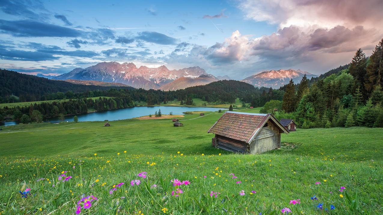 草原,草,鲜花,湖泊,小木屋,阿尔卑斯,4k风景高清壁纸