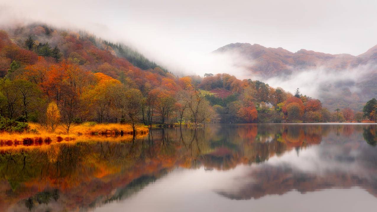 森林 薄雾 秋天 湖泊 山水倒影 4k风景壁纸