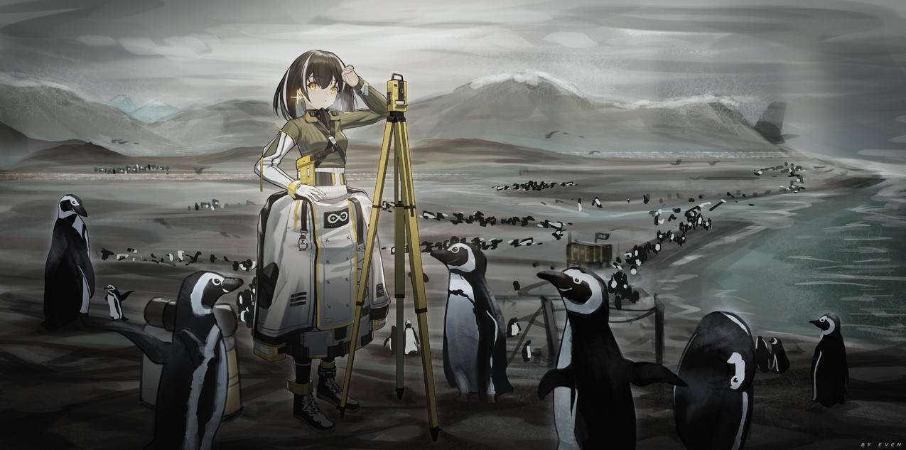 麦哲伦企鹅,女孩,拍摄,海水,4K高清动漫壁纸