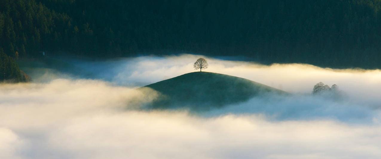 树木 森林 山丘 云雾3440x1440带鱼屏风景壁纸