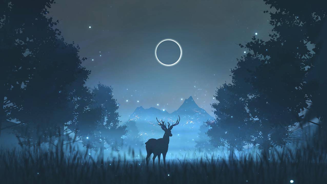 森林,夜晚,月亮,唯美意境4k壁纸3840x2160