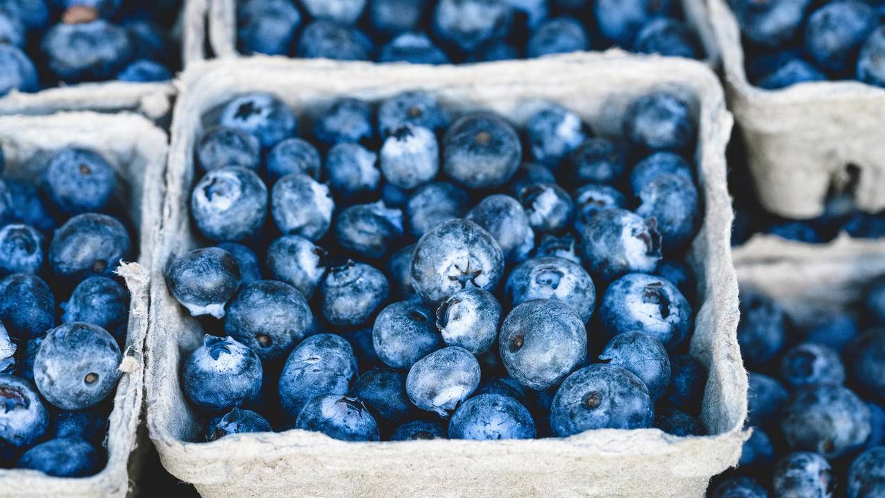 蓝色,蓝莓,美味,甜点,甜,健康,4K水果高清图片